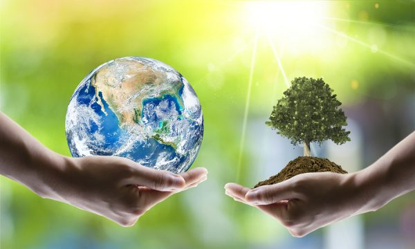 https://eridirect.com/wp-content/uploads/2019/08/bigstock-Saving-World-Ecology-Concept-309843562-600x360.jpg