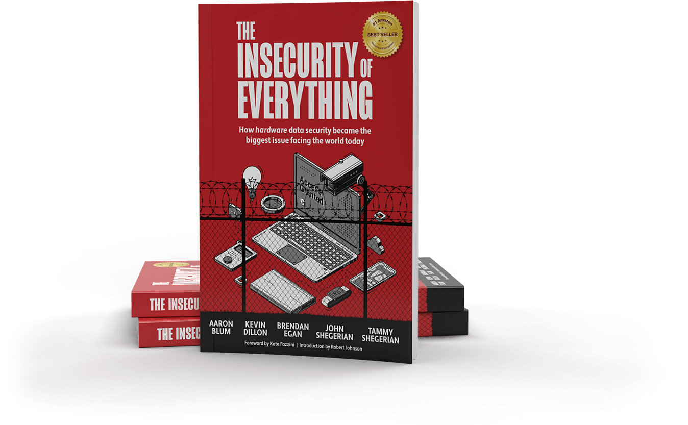 Image of Insecurity of Everything book.